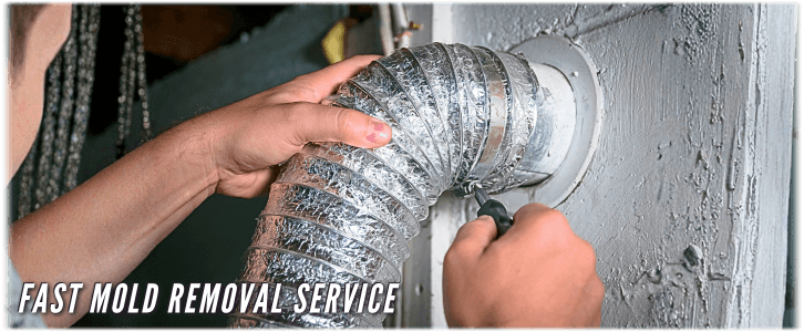 Air Duct Mold Removal in New York City