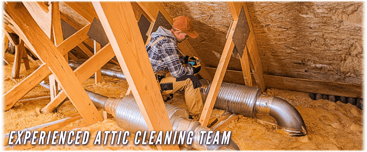 Attic Cleaning New York City