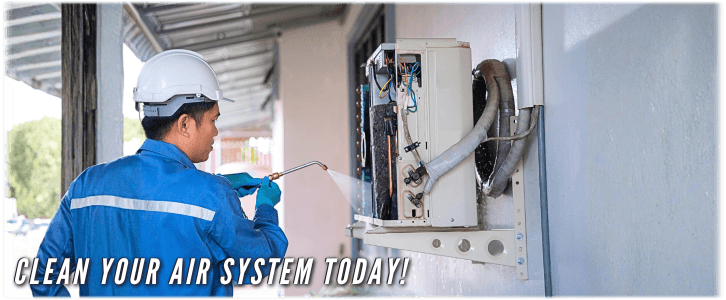 HVAC Mold Removal New York City